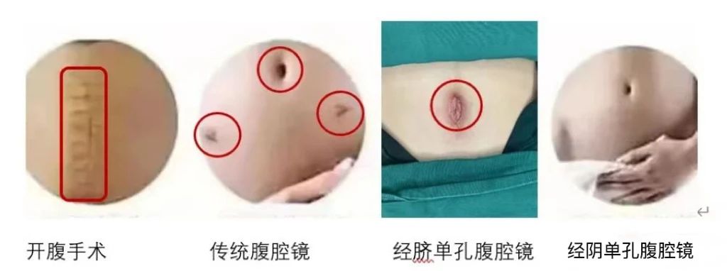 7c38c23436db6862d5a8b77dd8944414.jpg 微信圖片_20240401113320.jpg