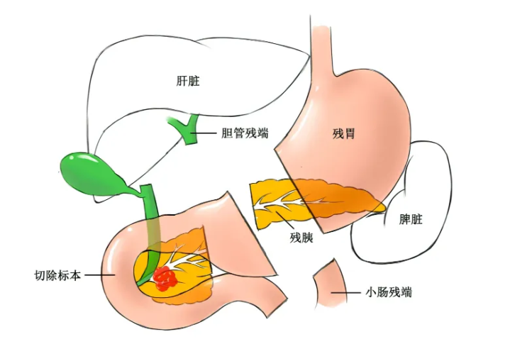 c715fac5307a4e95768c92682deb91ed.png 微信圖片_20240415090712.png